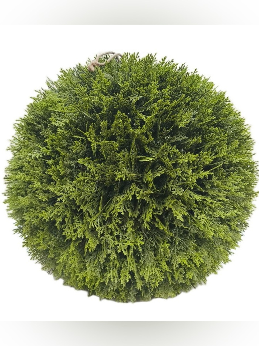 MY TEXAS HOUSE NWT faux evergreen cypress ball -green -21”